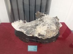 -房山世界地质公园博物馆