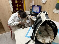 -恒幸动物医院·急重症转诊中心·神经内外科·CT核磁