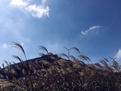 -东白山