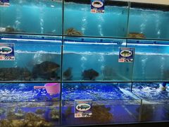 水产区-南海渔家•海鲜•正宗海南菜(海棠湾店)