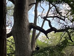 -北陵公园
