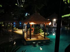 -丰泰花园酒店热矿泉