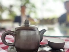 -陶缘一号·四季缘·老字号顺德菜·户外婚礼家宴(西滘店)