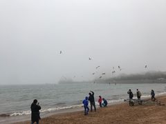 -如家精选酒店(青岛八大关太平角公园地铁站海水浴场店)