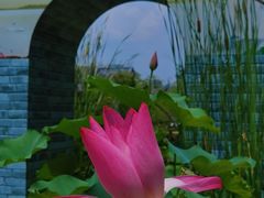 -无锡蠡湖国家湿地公园-蠡园