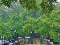 -江心屿景区