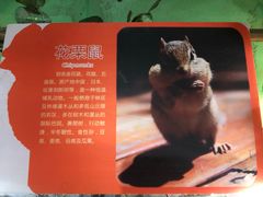 -白鹿仓冰雪海洋世界