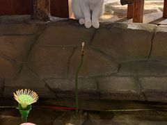 -城墙拐拐火锅(三峡广场黑金冠店)
