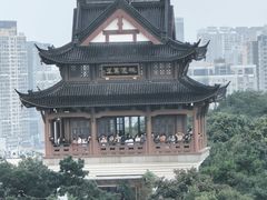 -黄鹤楼公园(黄鹤楼)