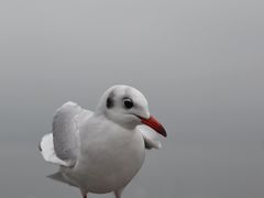 -海埂大坝