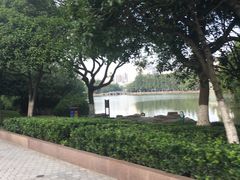 -赭山公园