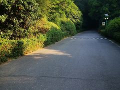 -蜀冈西峰生态公园