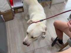 -申普宠物医院·眼科·心内科·影像科(普陀分院)