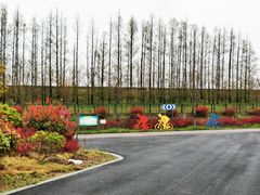 -上海长兴岛郊野公园