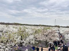 -江苏三台山国家森林公园