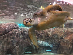 -福州罗源湾海洋世界旅游区