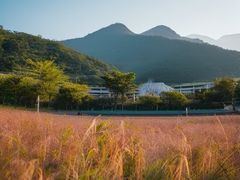 -白石龙音乐公园