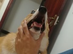 -欢唱KTV(映月湖环宇城店)