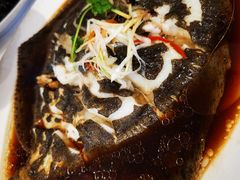 清蒸多宝鱼-双井轩(双井店)