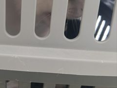 -美联众合24小时·皮肤科·外科·全科诊疗中心(华苑分院)