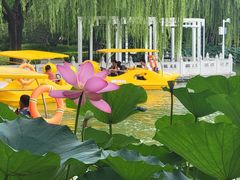 -丰台花园