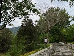 -阳台山自然风景区