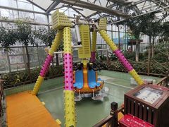 -南宫五洲植物乐园