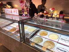 -哈根达斯(西安高新店)