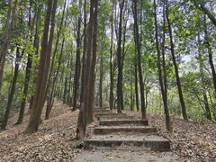 -广州市帽峰山景区