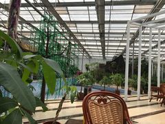 -天源吉布世温泉水乐园