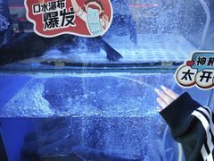 -鱼酷活鱼烤鱼(仙林金鹰店)