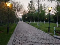 -荆川公园