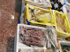 -渔人湾码头海鲜市场负二楼