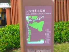 -大沙河公园