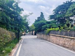 -八大关景区