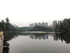 -重庆彩云湖湿地公园