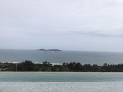 -瑰丽酒店·海吧·天际下午茶·现场DJ·天台酒吧