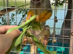 -水上乐园·欢乐世界