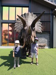 -恐龙探索乐园(磁器口店)