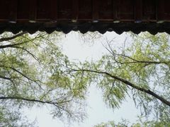 -中国唐苑