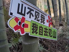 -东明山森林公园