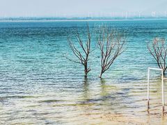 -观澜小洱海