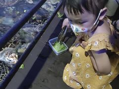 -福州罗源湾海洋世界旅游区