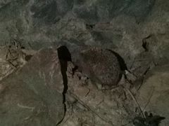 -鬼笑石后山停车场