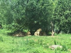 -西安秦岭野生动物园