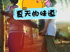 -朝阳公园真人CS