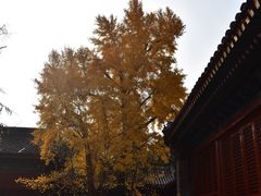 -承恩寺