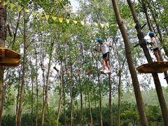 -合肥滨湖国家森林公园