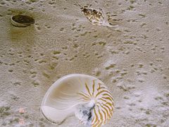 -青岛贝壳博物馆