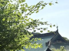 -无锡梅园公园